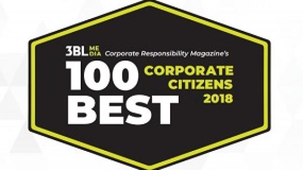 Logo plebiscytu 100 najlepszych korporacji